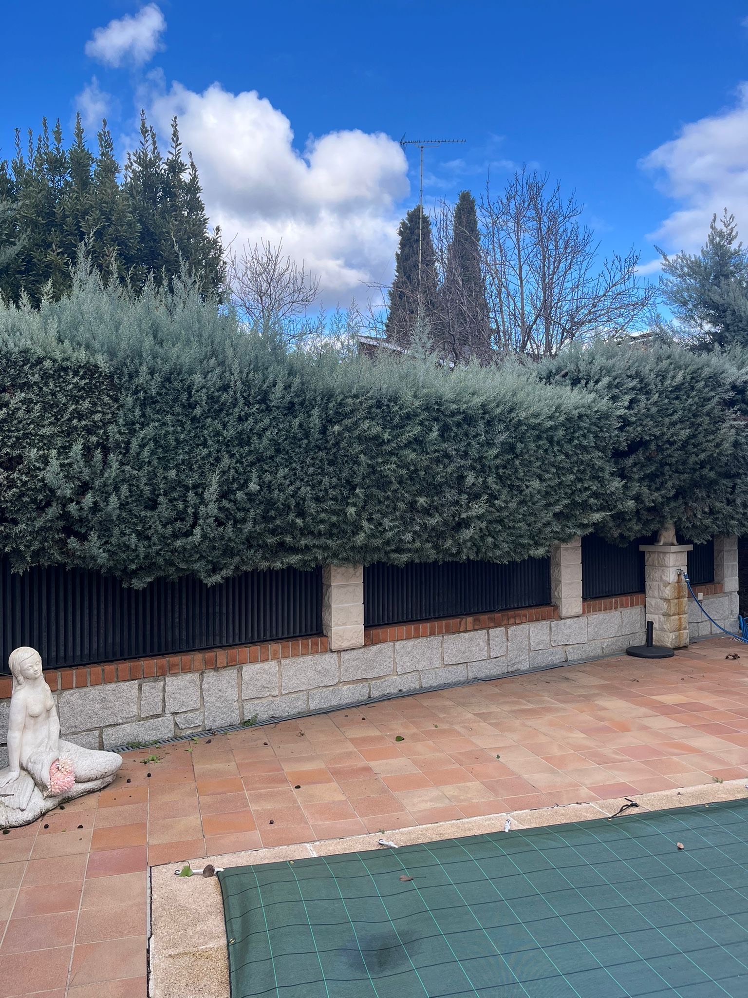 Terreno antes del trabajo